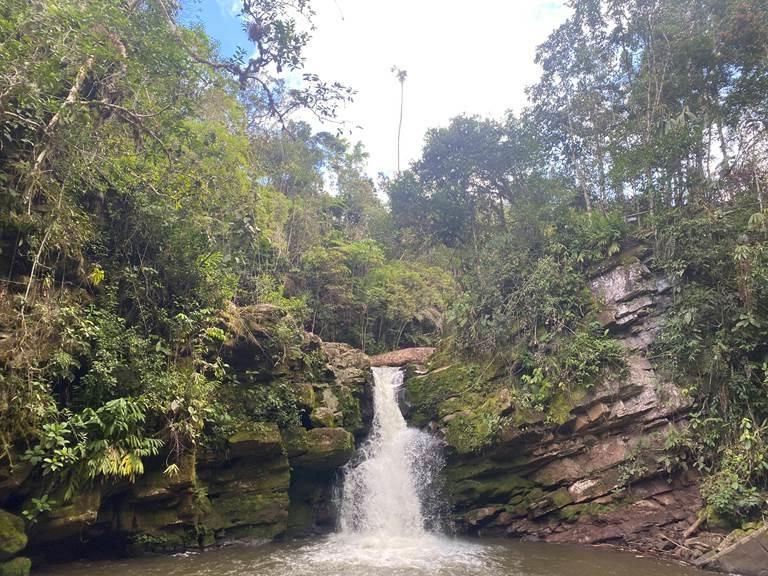 Chisholm Peru